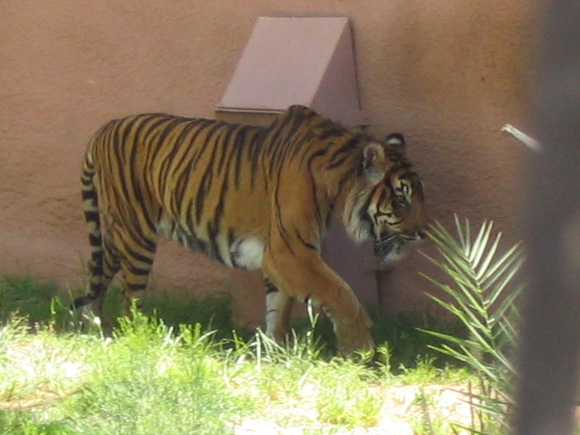 618x457 pixels (161K)